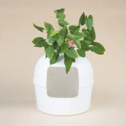 RHR Quality Katzentoilette Flower XXL -ROYAL CANIN Verkäufe 045c34da52ea42a8ca93faa0ffc4384eb81e7dd2 1641853 de DE 9141ae2b51dfaf3b5b7cf3a1ab485e45a4e63ee0Obqwe6