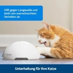 PetSafe Automatisches Katzenspielzeug Fox Den -ROYAL CANIN Verkäufe 08408a2d9006c3b10c605053b082403622980ada 1351524 de DE 8502feb5da21e0ab937dc8c82ecaeac4aebee886lllVcE