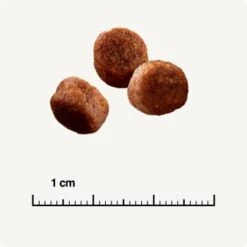 SELECT GOLD Digestion Senior Geflügel Und Reis 2,5kg -ROYAL CANIN Verkäufe 0999645de19e34aac9b2c14ea642717fe4bc62d2 1001086008 de DE 6