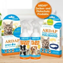 Ardap Spot-On Für Katzen S -ROYAL CANIN Verkäufe 178d15ac9da3c3d9fa67232babf72025c6818bc9 1150895 de DE 986a55c9a154810fd460d41d158e3ced050ed285C5pfll