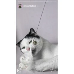 Kater Kasimir Premium Katzenangel Set Aus Buchenholz Mit 4 Handgemachten Anhängern -ROYAL CANIN Verkäufe 21dd16f50076a5d627c45258925f2847665d22a7 1422145 de DE ad7eb1e3270aeafca2a582afabb293db93269a7cF1epRY