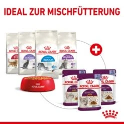 ROYAL CANIN SENSORY Smell In Gelee Für Wählerische Katzen 12x85g -ROYAL CANIN Verkäufe 25c7f2b0017090b05172a164b94d24299f626039 5b9b3776479c43ed4449b8634046c65b7d96c1fe