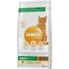 IAMS Vitality Adult Huhn 3 Kg -ROYAL CANIN Verkäufe 2623f65eeb7b0c3d0d38b3c6dcea22ef4d0c08f3 f96ab0ab1eaaaeee4e3f9a53d5846f77d092bacb