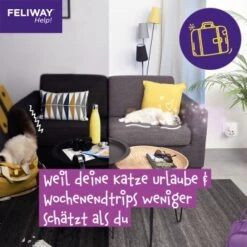 Feliway Help! 3x Nachfüllkartusche Zur Stressreduzierung -ROYAL CANIN Verkäufe 29ae770ba9b7f1bf9cec9031f7a2f9aa2f9f9bf4 1380137 6