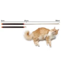 Schlitzohr Stabile Katzenangel Arnold -ROYAL CANIN Verkäufe 2b03aaa8061d454c3b132f3d29075b579f022315 1484671 de DE 4db6a969e0582cf4b987acff93cb66c6c6149da6OAB1hx