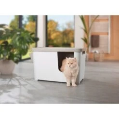 MORE FOR Katzentoilette XXL Titan -ROYAL CANIN Verkäufe 331a65ecbdbda6a54304894f23caf93293414f9a 41a7dcb3b92b8da7531785b268f381c1b25bbf04