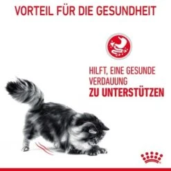 ROYAL CANIN Digestive Care 10 Kg -ROYAL CANIN Verkäufe 33836b78e4dfe5d72c6cf6742ac3f6af2f72a25c 1084985 4