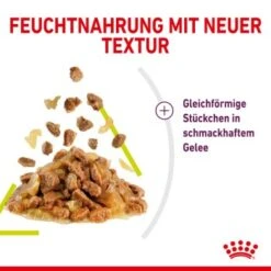 ROYAL CANIN SENSORY Smell In Gelee Für Wählerische Katzen 12x85g -ROYAL CANIN Verkäufe 3469e2789c9f64bff26f87bbac39ba0a4ed440ea 45f33cf5dbb691236fc67f7b11a07842abb35bb4