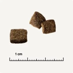 REAL NATURE WILDERNESS Adult Mixpaket Mixpaket 1, Mix-Pack -ROYAL CANIN Verkäufe 38c9fddfde6e364977836a7419845bd5679c428a 1267097 de DE 6 savannah 1173938004