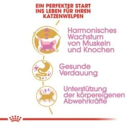 ROYAL CANIN British Shorthair Kitten 2 Kg -ROYAL CANIN Verkäufe 3feab8717345fb55fe890c564cd1933a92234494 8fcb8d730ecfafe8fb567de5d1188cbf674cf65f