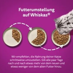 Whiskas Tasty Mix Multipack Chef's Choice In Sauce 40 X 85g -ROYAL CANIN Verkäufe 409f4c41204a67499d9e04ea40f469165fcf23ac 1410720 de DE Whiskas 4