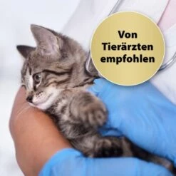 Felisept Home Comfort Beruhigungshalsband Für Katzen -ROYAL CANIN Verkäufe 49f63f3eec6617dbc795d98ab15477ddca010d3a 1238279 de DE Felisept 2