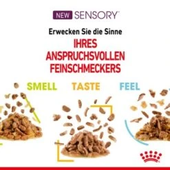 ROYAL CANIN SENSORY Smell In Gelee Für Wählerische Katzen 12x85g -ROYAL CANIN Verkäufe 4a632532d23d065e189b82401db5c561b6749e74 bbe7e159ee2cfcc0155771b211da953377ec5c40