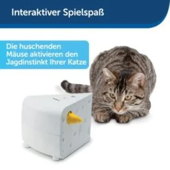 PetSafe Automatisches Katzenspielzeug Cheese -ROYAL CANIN Verkäufe 4bf213762b84458348ad4dde222bccd0d8e6f0a8 1418723 de DE 66b781419c3a9a05dbaecf1b142c67f8ea6f21fbRLCfdd