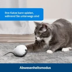 PetSafe Automatisches Katzenspielzeug RoloRat -ROYAL CANIN Verkäufe 4e48313abe110e77b48862456b3054c8cbc622dd 1351522 de DE cc35ab35cec54291341f643ff079f60e72f56895BvuHXl
