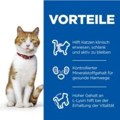 Hill's Science Plan Young Adult Sterilised Mit Huhn 12x85g -ROYAL CANIN Verkäufe 4eb0879ae29a295dcd46d7f704d8ade292e74d77 52742194103 4