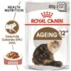 ROYAL CANIN Ageing +12 12x85g In Soße -ROYAL CANIN Verkäufe 51c74d03fbb260850c5464d8ce114a56be701dda 361ba1d241f5a8ddc581c1d78c31364575b4d345
