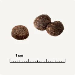 REAL NATURE WILDERNESS Adult Mixpaket Mixpaket 1, Mix-Pack -ROYAL CANIN Verkäufe 527b332672eded50c4dcdddaa1a4892456641e77 1267097 de DE 6 truecountry 1173938002