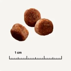 SELECT GOLD Sensitive Digestion Adult Geflügel Und Reis 2,5 Kg -ROYAL CANIN Verkäufe 571cc49e96eaa29d93cdb9496136ed90f38f0ce7 1243347 de DE 6