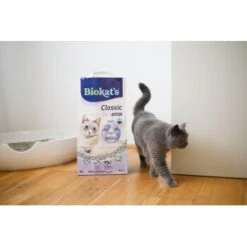 Biokat's Classic 3in1 Extra 14 L -ROYAL CANIN Verkäufe 5d52880c5f6cb6a968c367a4df6d22f3606a92d3 1422137 4