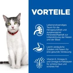 Hill's Science Plan Senior 11+ Mit Huhn 3 Kg -ROYAL CANIN Verkäufe 65355ea3910df3a9bf78bcc29cf7e0f454b27f86 52742023359 4