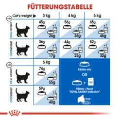 ROYAL CANIN Home Life Indoor 27 10 Kg -ROYAL CANIN Verkäufe 6855ea56169c61d168abae97a8d80ba01554e9eb 688c4066a69b0c3b06fbf04bd78e076cef620042