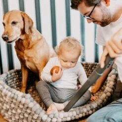 THOMAS AQUA+ Pet & Family Parquet Pro -ROYAL CANIN Verkäufe 6a06a607313dbd894623286e7a98c7773a1034a3 1406735 de DE 19e0df3761ba1c9d0c13778d17fc55d12b702950RpbbLZ