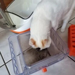 THOMAS Staubsauger -ROYAL CANIN Verkäufe 6a70c632a0bab42059bec4b43d139a5d2e40f9ae 1406733 de DE e7e44b3ec14bf6f4d989c5887e4e07bdd5895c48xakBwm