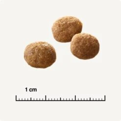 SELECT GOLD Senior +12 Geflügel Mit Reis 3 Kg -ROYAL CANIN Verkäufe 6db53d99e99530132bf34d8482d69f423780c004 1081823016 de DE 6