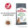 ROYAL CANIN Digestive Care 10 Kg -ROYAL CANIN Verkäufe 6fe24fa1655b1308132cf235eff60a5586463c2b 1084985 0