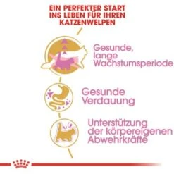 ROYAL CANIN Maine Coon Kitten 4 Kg -ROYAL CANIN Verkäufe 762fe3d95c521f1c9aed31bc11ea5f813cb64625 48abad1c00ba32352c5f4e40b8a5a9d5e4dec65f