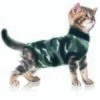 Trovet Katzenbody Recovery Suit XS -ROYAL CANIN Verkäufe 7ad0fffdd76bbebfa8c0171c143c39460980b4a6 a96de6f4538d86c6d97896ea896c78b4dc062293
