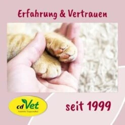 FeliTATZ FellGlanz -ROYAL CANIN Verkäufe 7b983d72d2823b0db9ac615f4b9eda9a9cc31838 1666313 de DE bfdb4b813f4d094cdfef4c88f0fa4e20008c32c8J2LDce