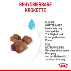 ROYAL CANIN Mother & Babycat 2 Kg -ROYAL CANIN Verkäufe 7de9161ec8af5d8e5fb59d6589cba97c3ecae1bf 3182550707329 5
