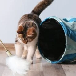 Kater Kasimir Premium Paket Mit 7 Beliebten Katzenspielzeugen Aus Naturmaterial -ROYAL CANIN Verkäufe 84f221d79ef76f1b4f2f0037d329c11c6fce3a33 1408152 de DE 294269527f07b1898ca7562c986e956043828d3cA8xBpO