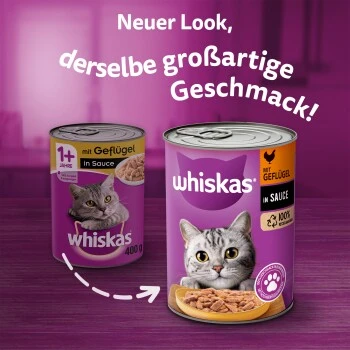 Whiskas Adult 1+ Sauce 12x400g Geflügel – Bild 5