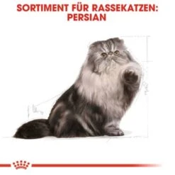 ROYAL CANIN Persian Adult 10 Kg -ROYAL CANIN Verkäufe 9165cac29a72299b97dae8a447d82fe7420a785a d15d6f63a0146aa9aad91fbc1d1013d7e48a8bed