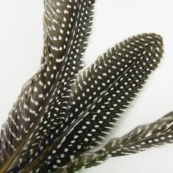 Schlitzohr Katzenangel Federanhänger 5x -ROYAL CANIN Verkäufe 93b8e0c984d323f24d455bf8e74e2dbacef5703e 1484675 de DE 7b80f213f44ebcad765dbdebc25bf2d2f0177dbd64kHU2