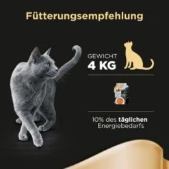 Sheba Soup 40x40g Weißfisch -ROYAL CANIN Verkäufe 93f082b601a7b2e35c4b26bddfa8b3a21a066ff1 013302da02baf9b7b82258f829fb901d4e9267cf