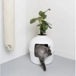 RHR Quality Katzentoilette Flower XXL -ROYAL CANIN Verkäufe 93f503e3b5e2d21cc0461e97d9127562df0337e6 1641853 de DE 1e822790dd4545375dbf65f839e659bd6b299a76bokJue