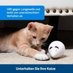 PetSafe Automatisches Katzenspielzeug RoloRat -ROYAL CANIN Verkäufe 97df3eec34472f4ac76f2a0bbe4e75fdbbe02b64 1351522 de DE 83c2d308e962c4b6c64101ee39311b3a61647f71n2yR1C
