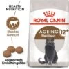 ROYAL CANIN Ageing 12+ Sterilised 4 Kg -ROYAL CANIN Verkäufe 9802dd133559937b704068f6cc8306b45b98c2ea c94ee72411cd7bd6a72a1493c122daa72c82a5e1