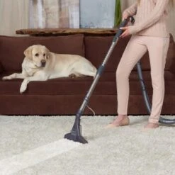 THOMAS DryBox Amfibia Pet -ROYAL CANIN Verkäufe 9953282c61e03abd8b9e8af05edae29417570062 1406734 de DE 1c8fb73e21f9aae62063930fedd2d58afb94e8aanSOWPf