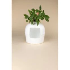 RHR Quality Katzentoilette Flower XXL -ROYAL CANIN Verkäufe 9a175089ef2e18d9c2c6261d746d3512930c312f 1641853 de DE fe53414878bfaf3647b8be741b079914a6bd2e93iOsifJ