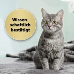 Felisept Home Comfort Set Diffusor + Flakon 45ml -ROYAL CANIN Verkäufe 9c015fbf97e9da0b9557db7ed4b82ab2943cb9e3 1667495 3