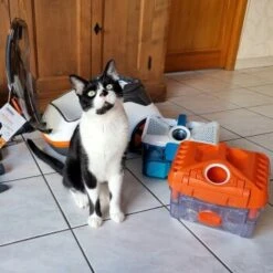 THOMAS Staubsauger -ROYAL CANIN Verkäufe 9c1c711bdc998f487ed8c24bc96dc66adbb9a8a0 1406733 de DE c0788b12d8ca7e012c5c5d1a7cf9568fa3623544LvViH7