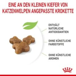 ROYAL CANIN Kitten 4 Kg -ROYAL CANIN Verkäufe a8df74b6725246cc1c5fa7ed87e8fdc0a4cfc24f 3182550702973 6
