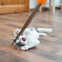 Schlitzohr Federwedel Birdy 3er Pack -ROYAL CANIN Verkäufe b2468018bd2b888c11ee64154d86732de60c7830 1659562 de DE 7d36675a42a956412d003b03e1f072b0ae0379063UsHBd