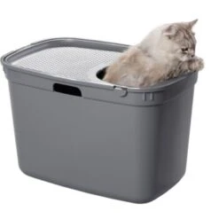 AniOne Katzentoilette Top-Entry -ROYAL CANIN Verkäufe b2545790eca82e651686eaa2ba174baf3be042a3 1371537 de DE AniOne Katzentoilette 5