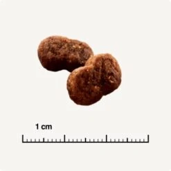 SELECT GOLD Hair+Skin Senior Geflügel & Lachs 2,5 Kg -ROYAL CANIN Verkäufe b42128ae83c41454d6be7d6047b7c0aaed5f051a 1001086011 de DE 6